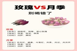 月季花能不能食用