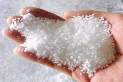 尿素能给月季花施用吗