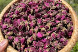 月季花可以用来食用吗？