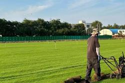 剪股颖有哪些品种,剪股颖什么品种最好