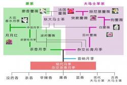 月季的芳香世界，详解月季的七种香味