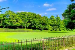 剪股颖有哪些品种,剪股颖什么品种最好