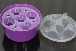 郁金香的水养方法和注意事项