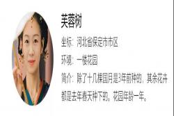 花友分享：一年时间让自己的花园三季有花看
