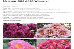 2022年全美花园月季优选AGRS得主出炉