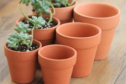 给大家聊一聊花盆如何选择