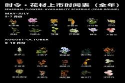 一月到十二月的时令花卉