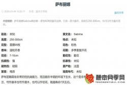 情归巴黎月季是奥斯汀培育的？