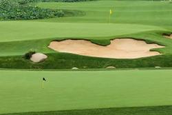 匍匐剪股颖草籽高温能播种吗