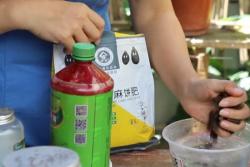 月季生长期施什么肥最好