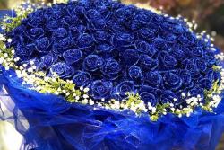 蓝玫瑰代表什么意思(蓝玫瑰的花语)