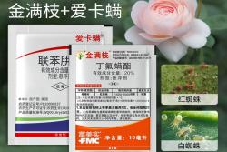 月季花种植常备药有哪些(建议收藏)
