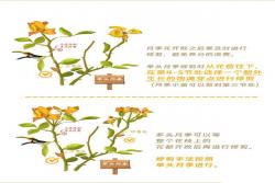 月季花修剪方法（详细图解）