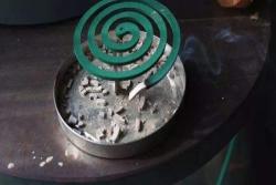 盘点那些非常规的养花材料