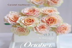 焦糖玛奇朵Caramel Macchiato