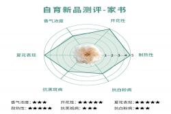 家书(又名翻译家)