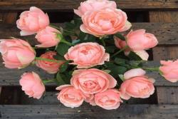 娇媚昂热城堡Rose Angers