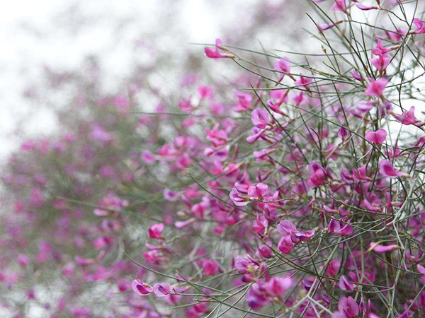 è±æ£å¾ç