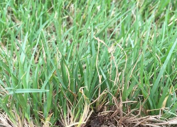 1631176005735874.jpg image.jpg