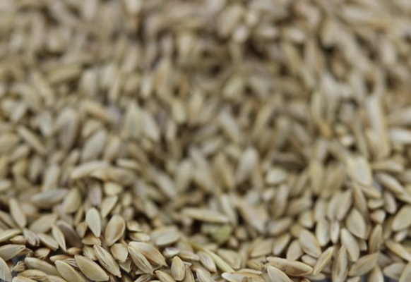 1631175997531002.jpg image.jpg