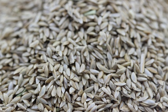 1631175991936791.jpg image.jpg