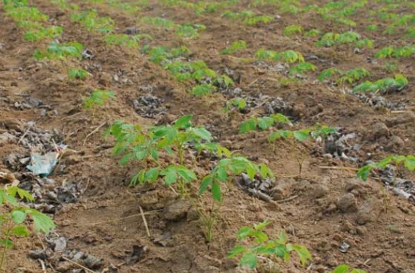 1632119377398594.jpg 1632119377398594.jpg