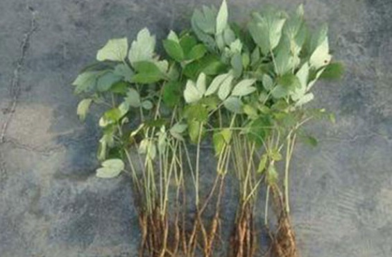 1632119371599968.jpg 1632119371599968.jpg