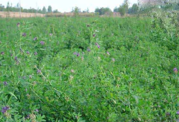 1627124734512500.jpg image.jpg