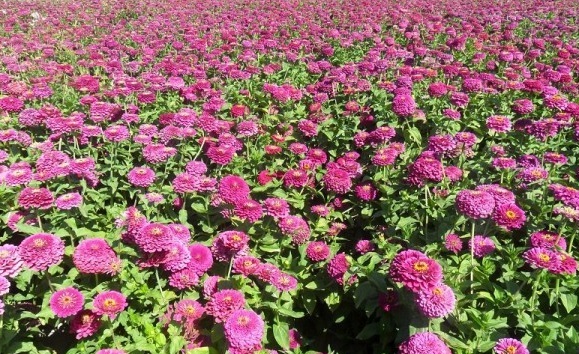 1630471545502797.jpg image.jpg