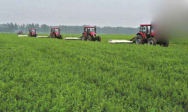 1627124716766577.jpg image.jpg