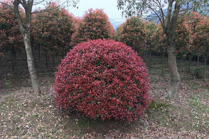 567.jpg