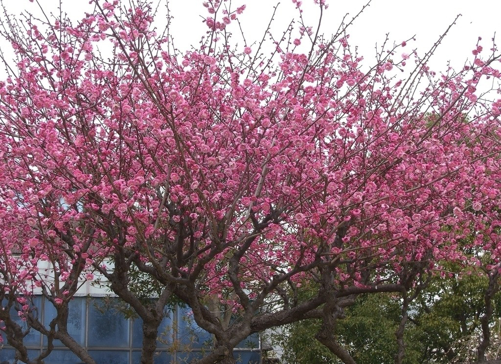 1683034640510807.jpeg 11.jpeg