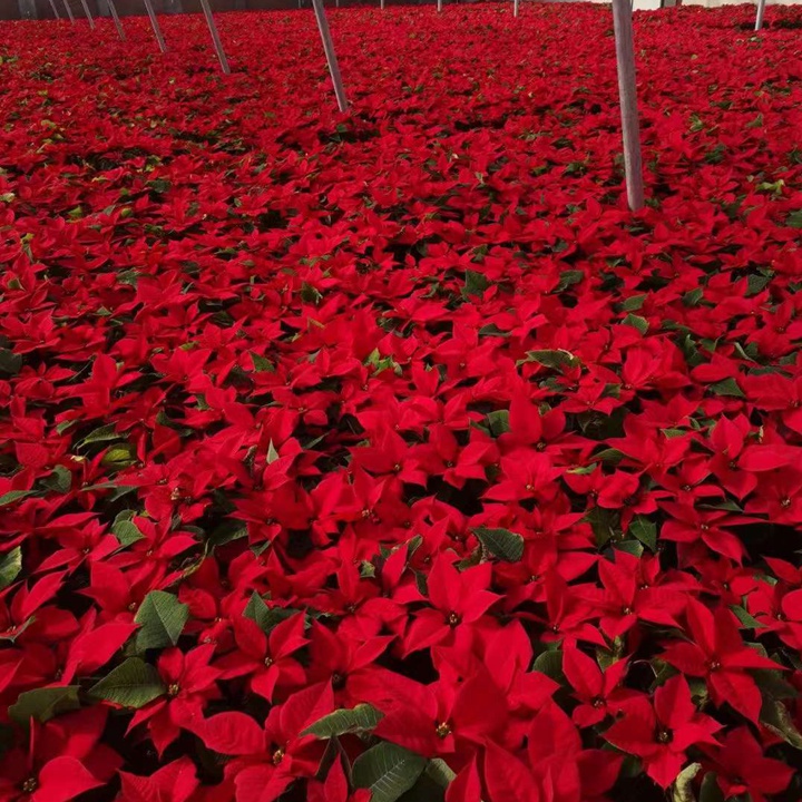 1687698548765047.jpg c78710eeabaad067ae2eb3e7df05b192_1680307183732810.jpg